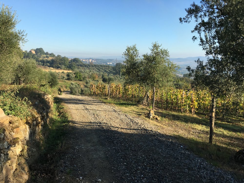 A short stroll in the Tuscan hills