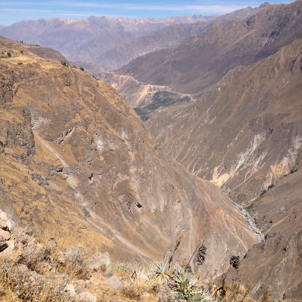 Looking up the Colca Canyon- spot the river at the bottom