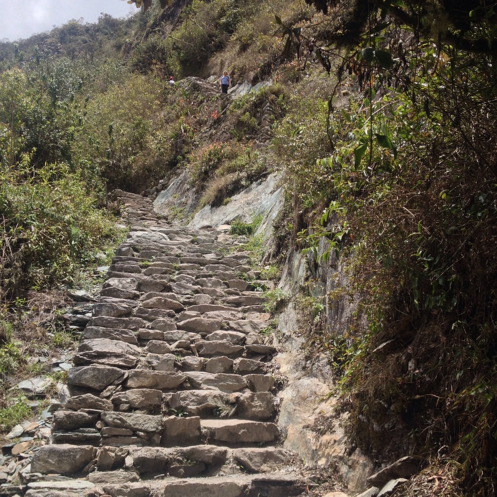 The good stairs on the climb to Machu Picchu mountain (3000m) 