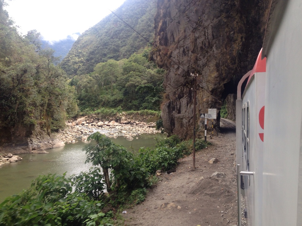 The scenery from the train when heading toward Machu Picchu. 