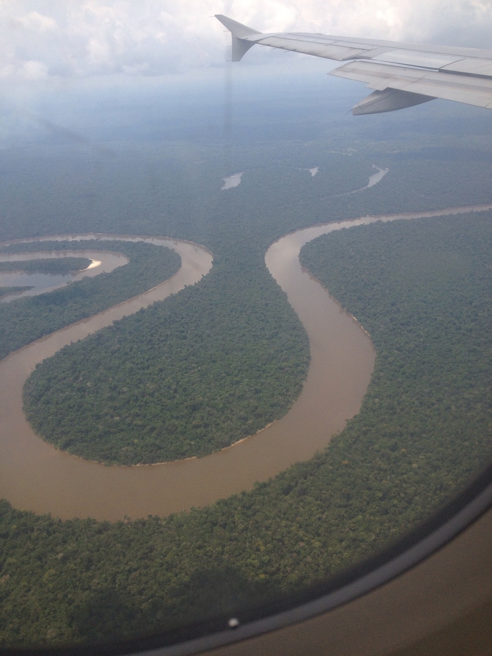 First view of Amazon Jungle