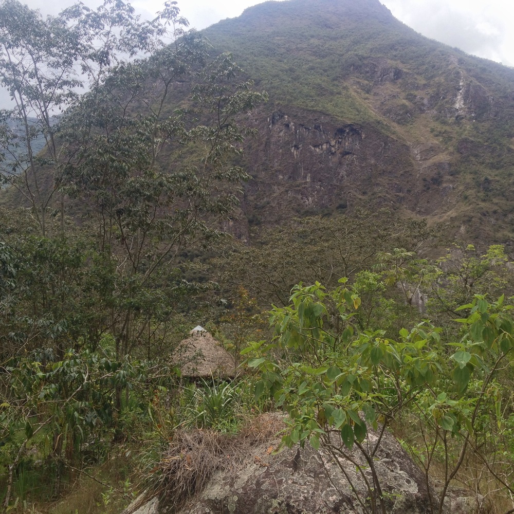 This mountain is behind Machu Picchu&nbsp;