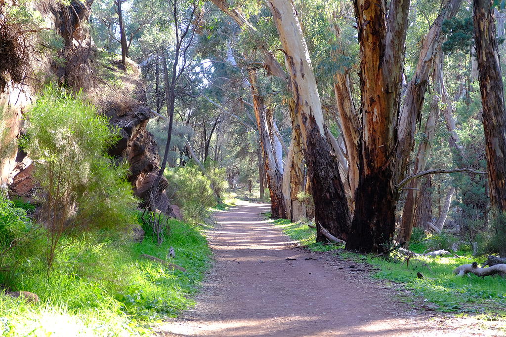 Hill Homestead Hike