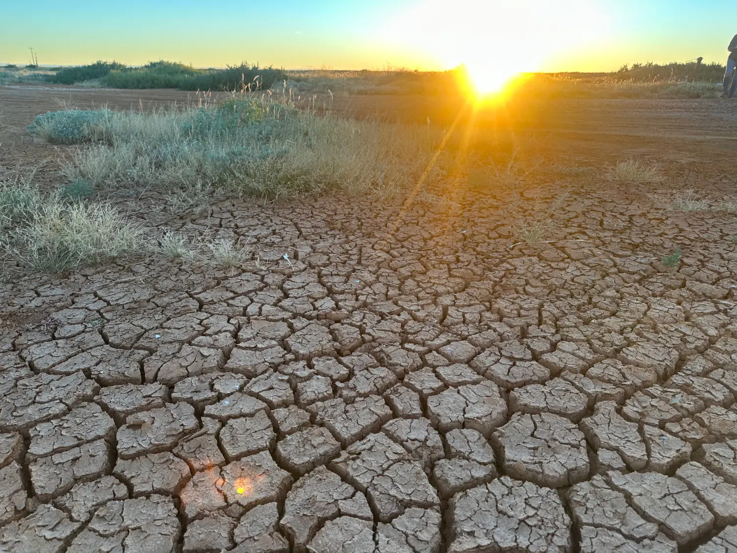 Marree, SthAust