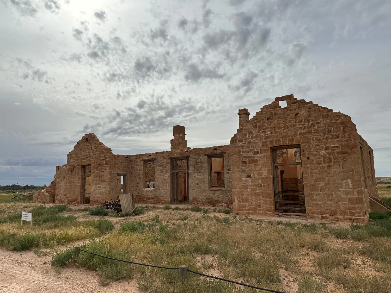 Witchelina, SthAust